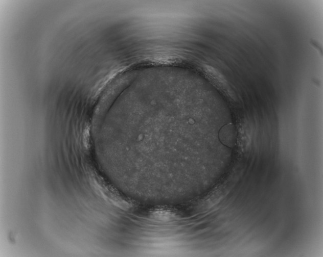 X0000103270596200809122137