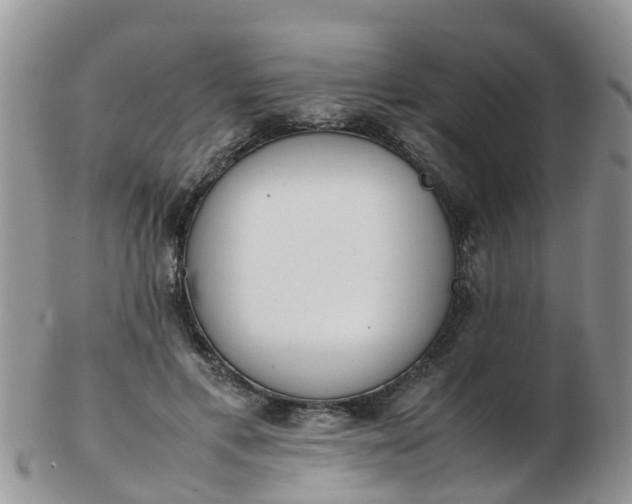 X0000103270597200809122137
