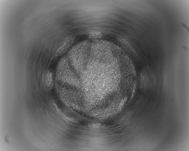 X0000103270598200809122137
