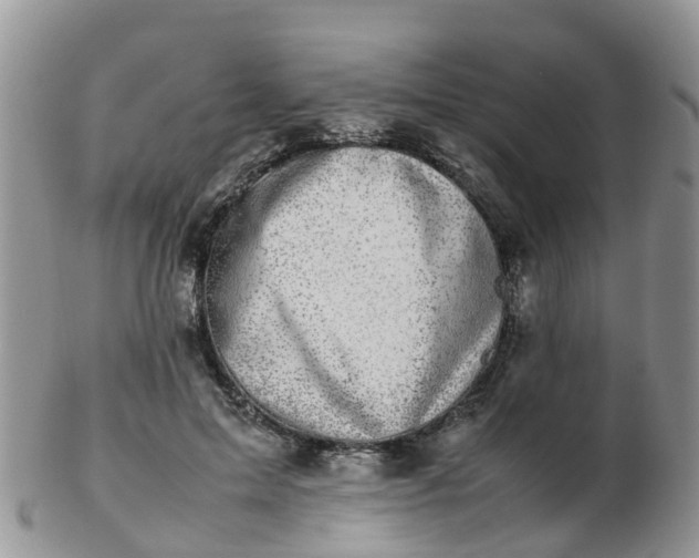 X0000103270599200809122137