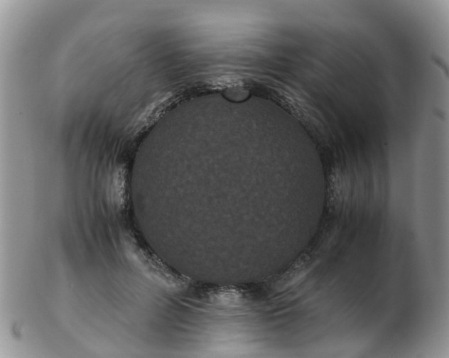 X0000103270600200809122137