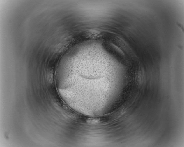 X0000103270602200809122137