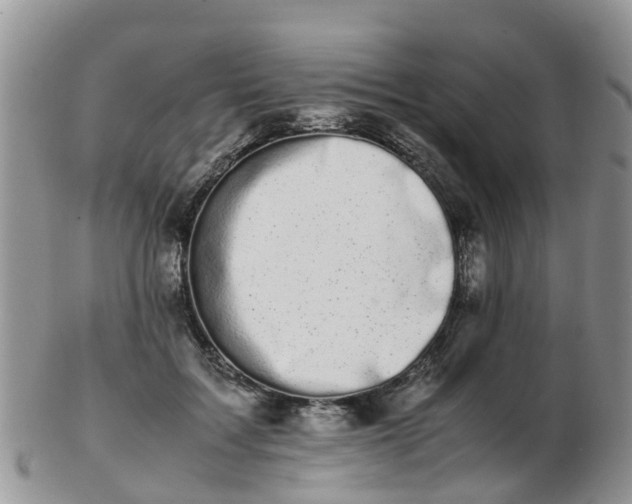 X0000103270603200809122137