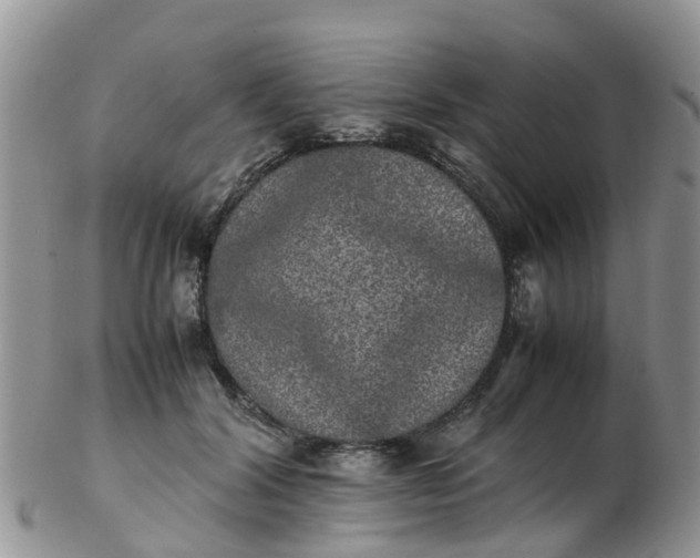 X0000103270604200809122137