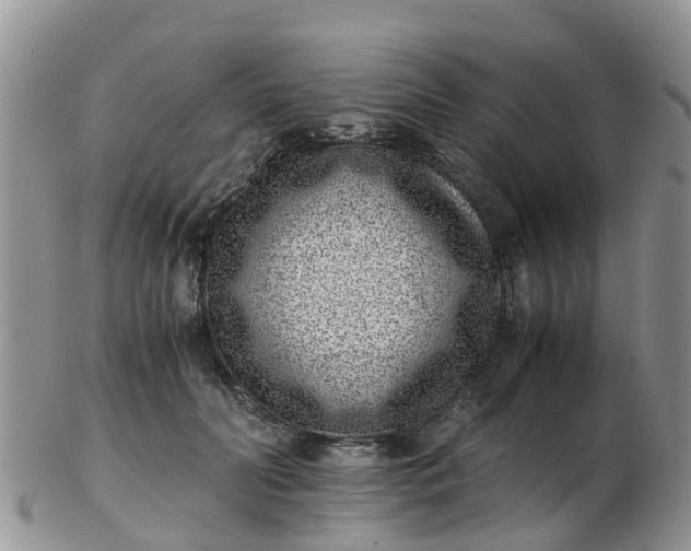 X0000103270606200809122137