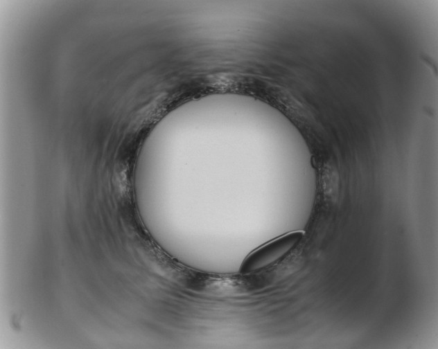X0000103270611200809122137