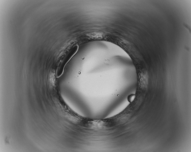 X0000103270612200809122137