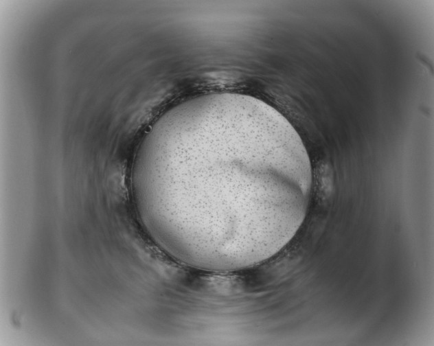 X0000103270615200809122137