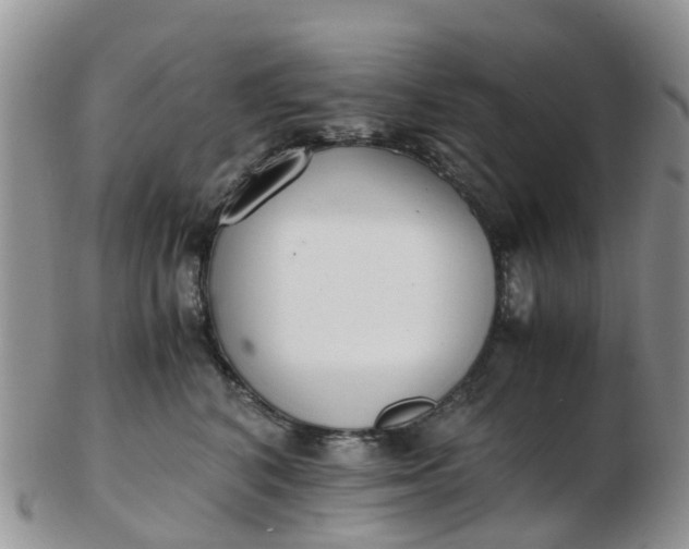 X0000103270616200809122137
