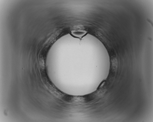 X0000103270617200809122137