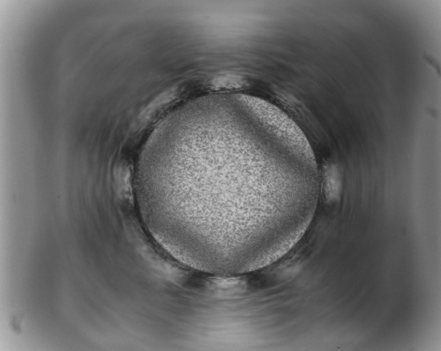 X0000103270619200809122137