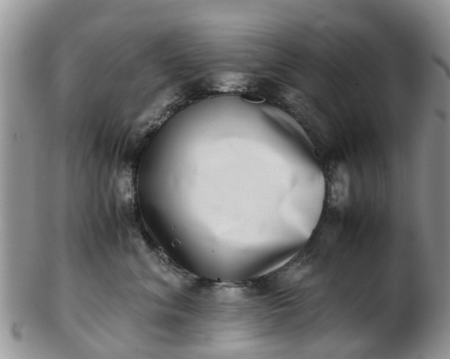 X0000103270620200809122137