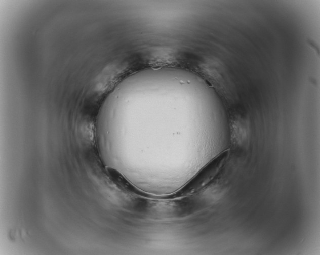 X0000103270621200809122137