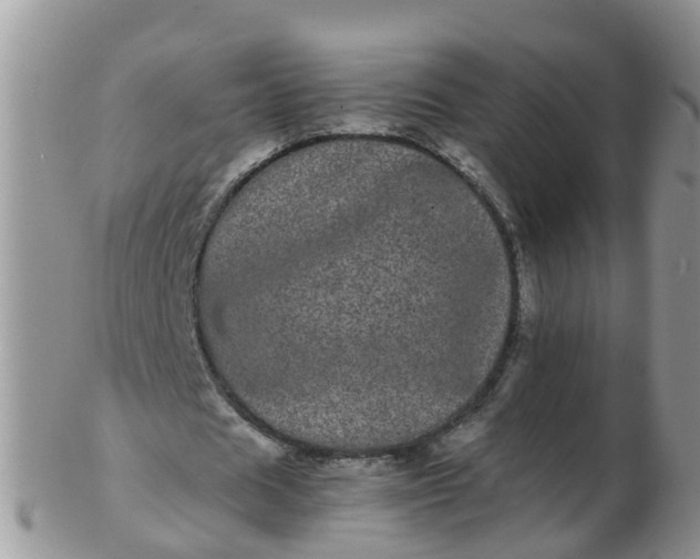 X0000103270625200809122136