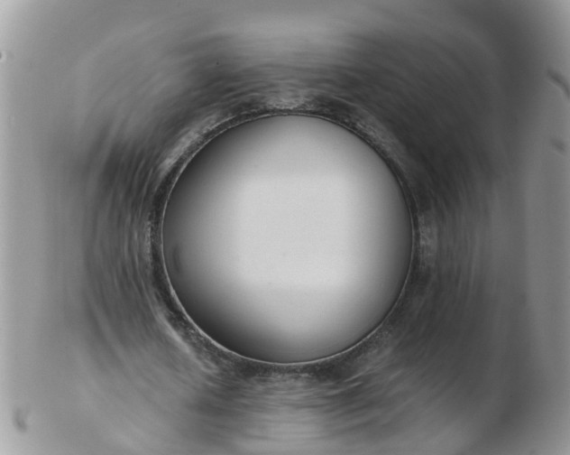 X0000103270626200809122136
