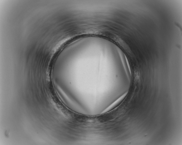 X0000103270628200809122136