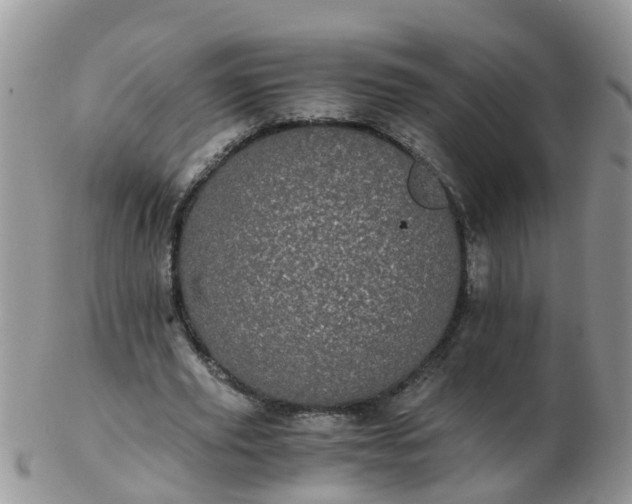 X0000103270629200809122136