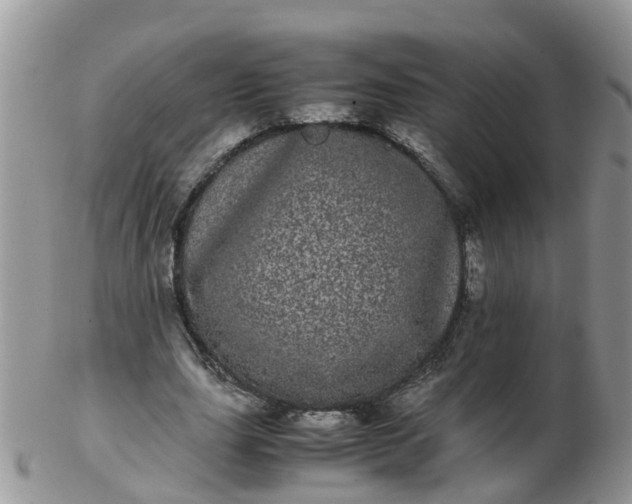 X0000103270631200809122136