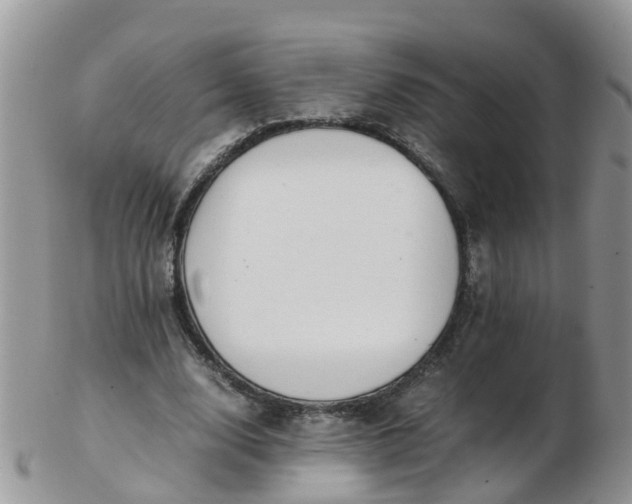 X0000103270632200809122136