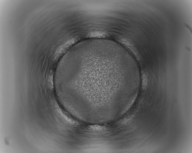 X0000103270633200809122136