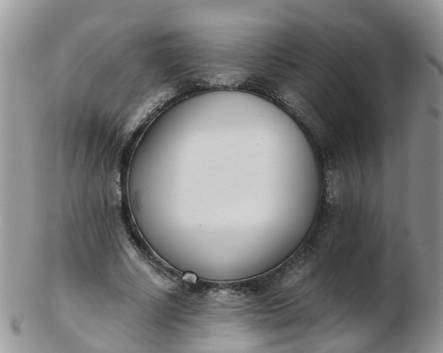 X0000103270634200809122136
