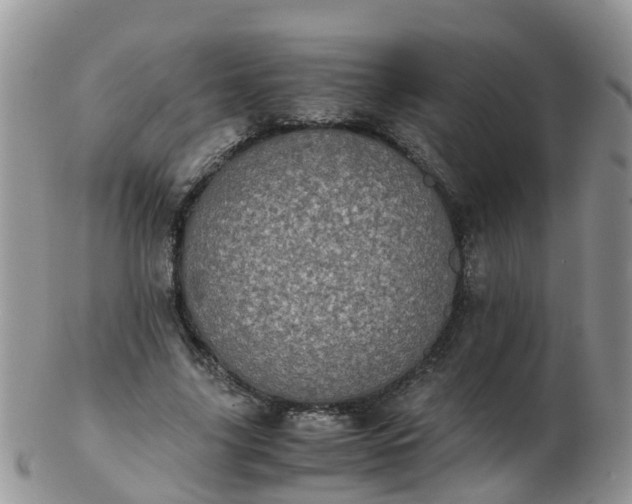 X0000103270635200809122136
