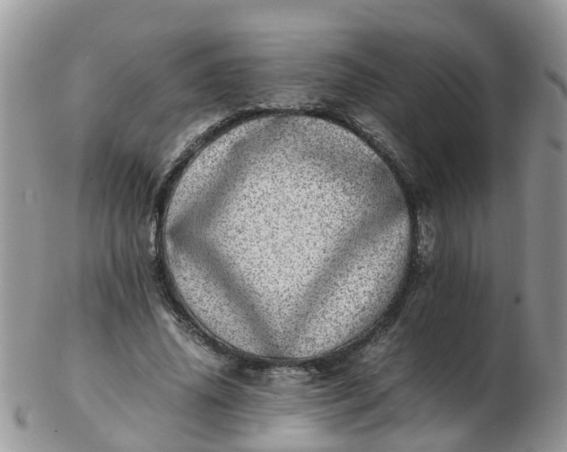 X0000103270636200809122136