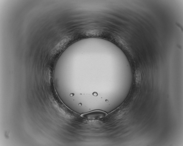 X0000103270637200809122136