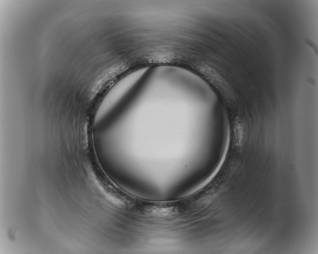 X0000103270638200809122137