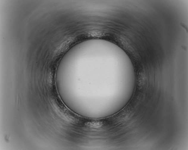 X0000103270639200809122137