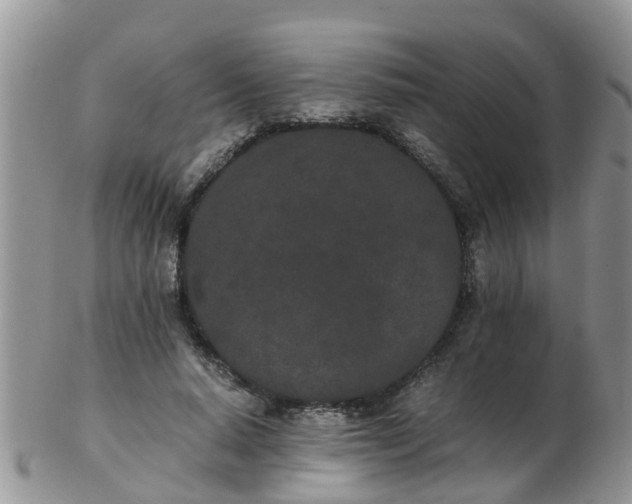 X0000103270640200809122137
