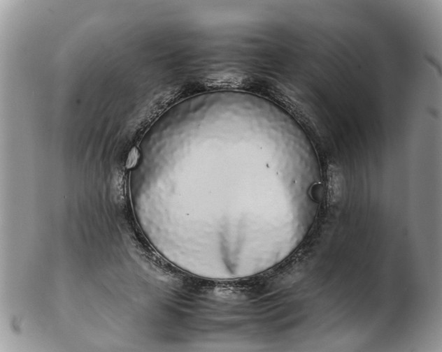 X0000103270641200809122137