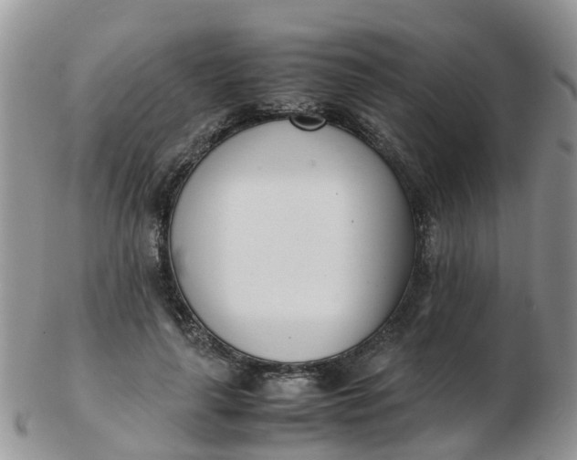 X0000103270643200809122137