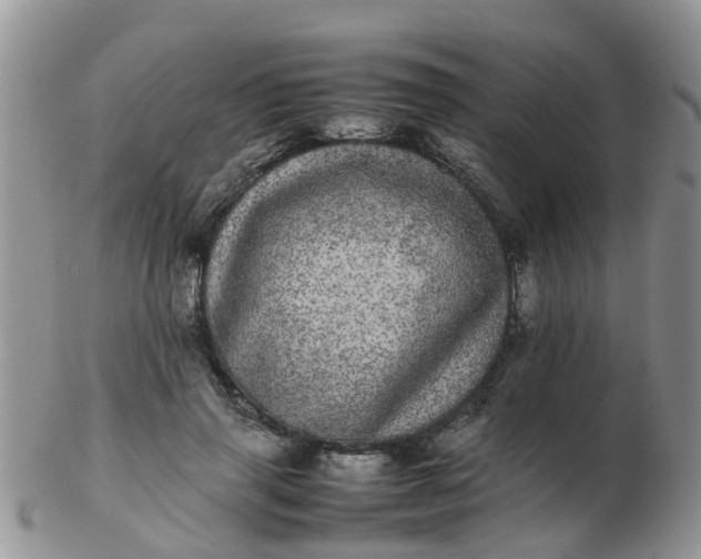 X0000103270645200809122137