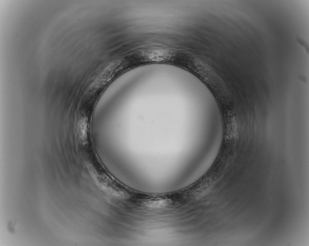 X0000103270646200809122137