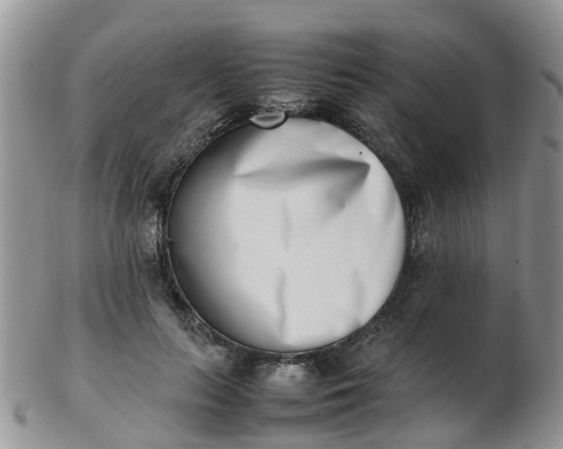 X0000103270647200809122137