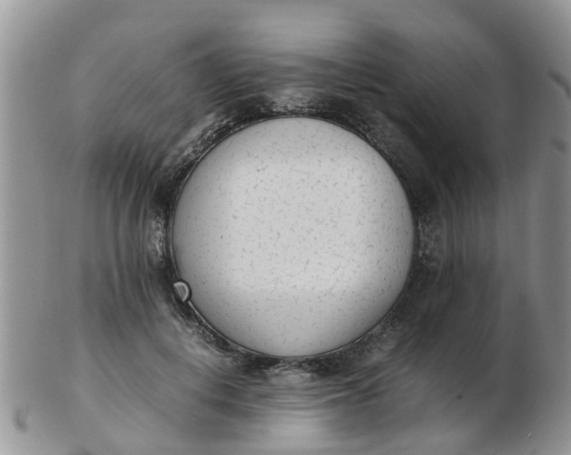 X0000103270648200809122137