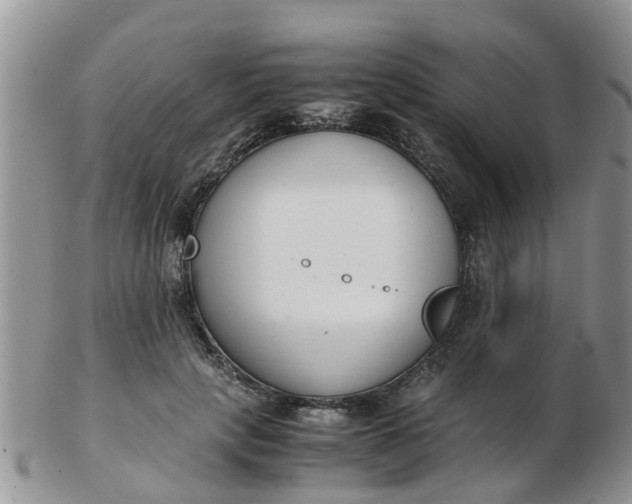 X0000103270649200809122137