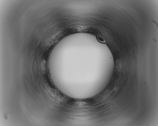 X0000103270650200809122137