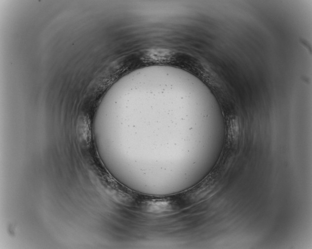 X0000103270651200809122137