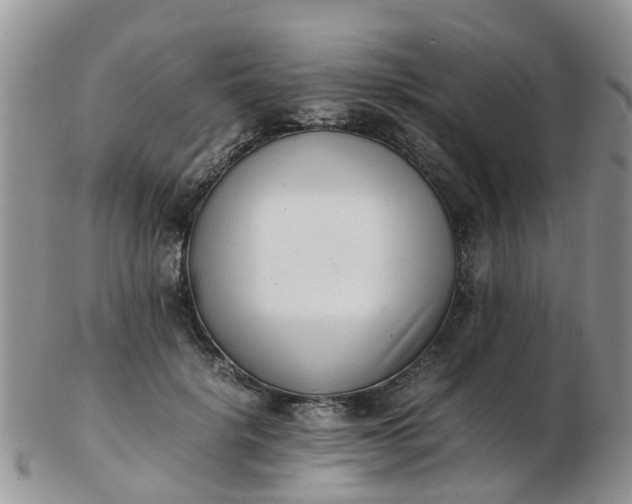 X0000103270652200809122137