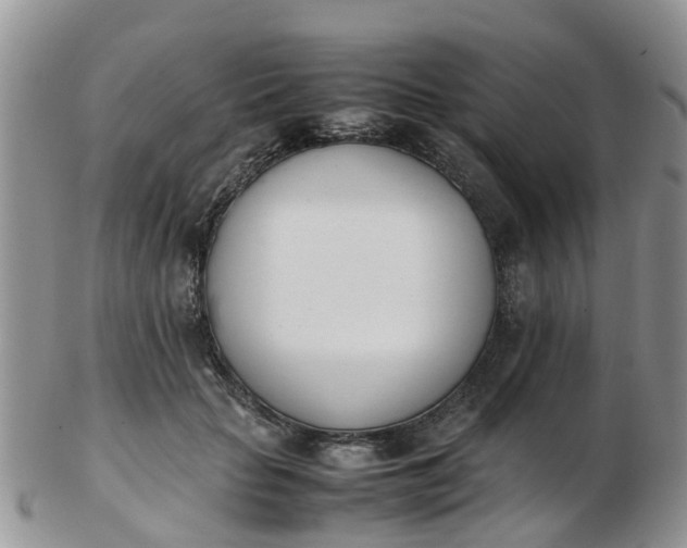 X0000103270653200809122137
