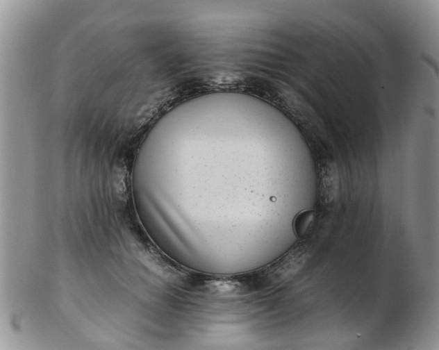 X0000103270654200809122137