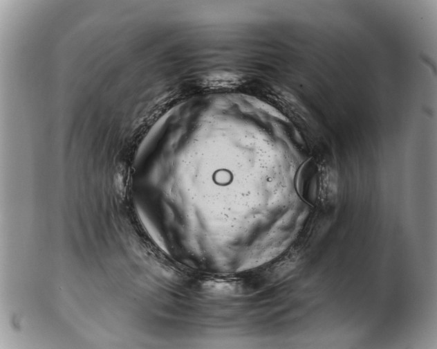 X0000103270655200809122137