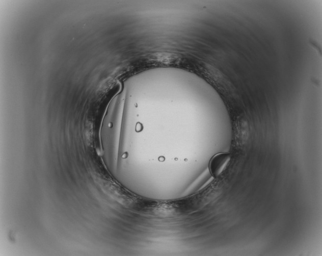 X0000103270656200809122137