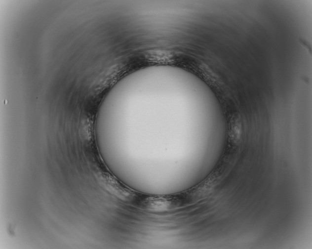 X0000103270658200809122137