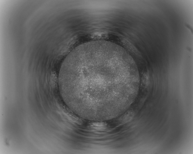 X0000103270659200809122137