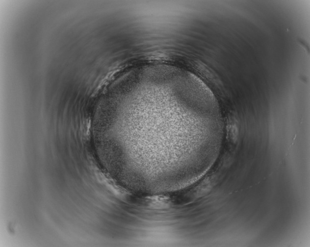 X0000103270660200809122137