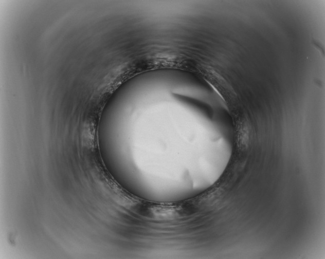 X0000103270661200809122137