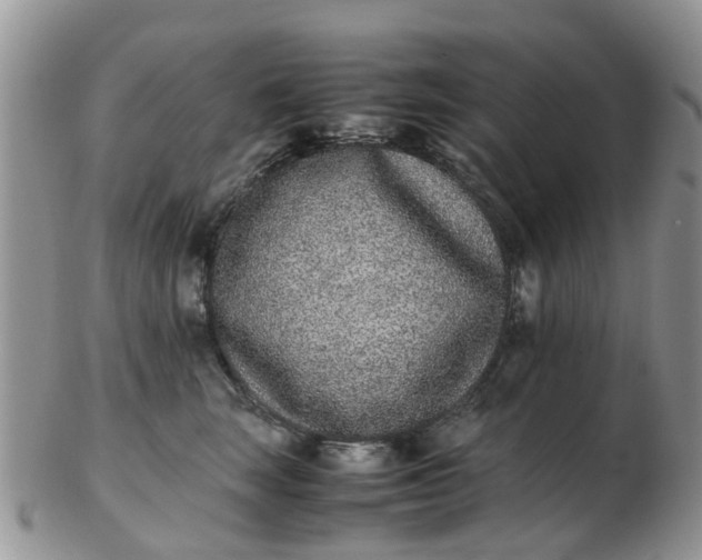 X0000103270663200809122137
